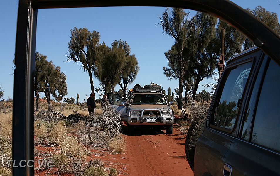 22-Desert Shea Oaks - abandoned section of the Gun Barrel Hwy .JPG